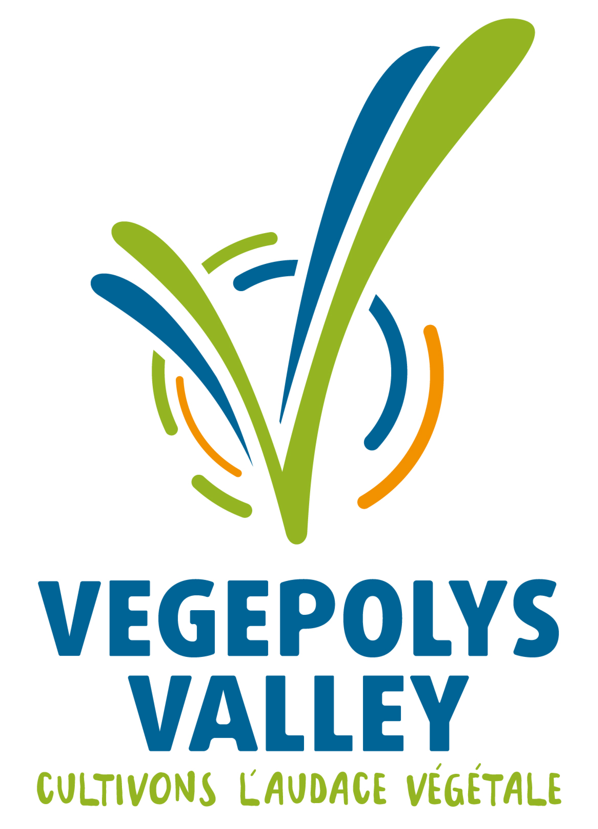 VEGEPOLYS VALLEY_LOGO_VERTICALE_RVB5